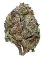 Buy Black ice strain