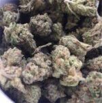 Buy Black ice strain
