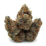 Buy Blueberry Headband Strain