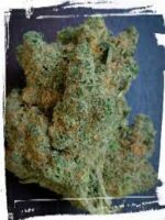 Buy Blueberry Headband Strain