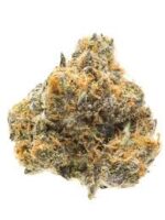 Buy Blueberry Headband Strain
