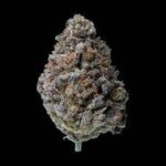 Buy Blueberry muffins Strain